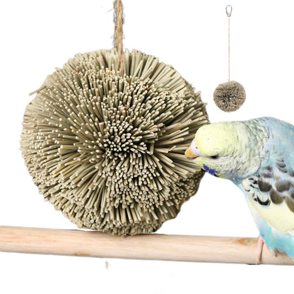 Hanging Natural Grass Ball Bird Chew Toy | Bon Bon Bird Toys