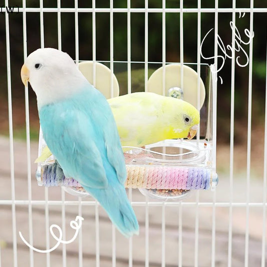 Clear Acrylic Bird Feeder Bowl | Bon Bon Bird Toys