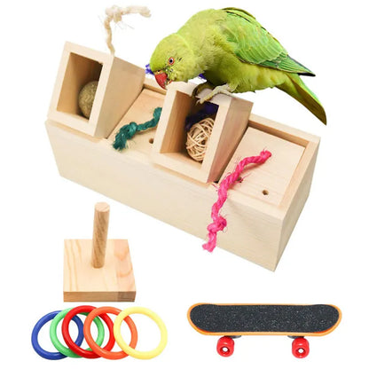 Bird Puzzle Training Foraging Box Set | Bon Bon Bird Toys