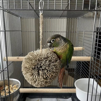 Hanging Natural Grass Ball Bird Chew Toy | Bon Bon Bird Toys
