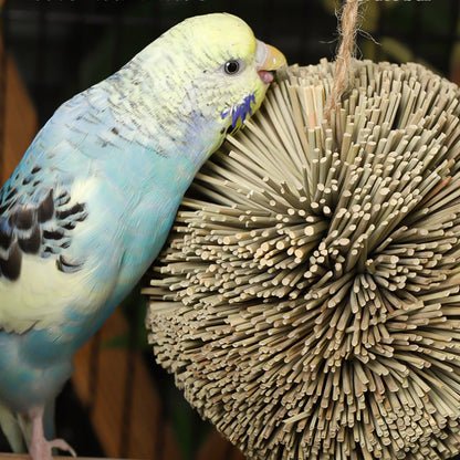 Hanging Natural Grass Ball Bird Chew Toy | Bon Bon Bird Toys
