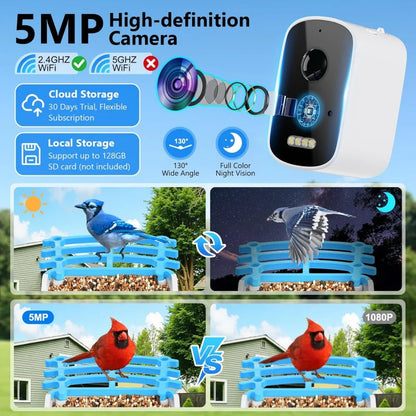 Smart Bird Feeder with AI Camera | Bon Bon Bird Toys