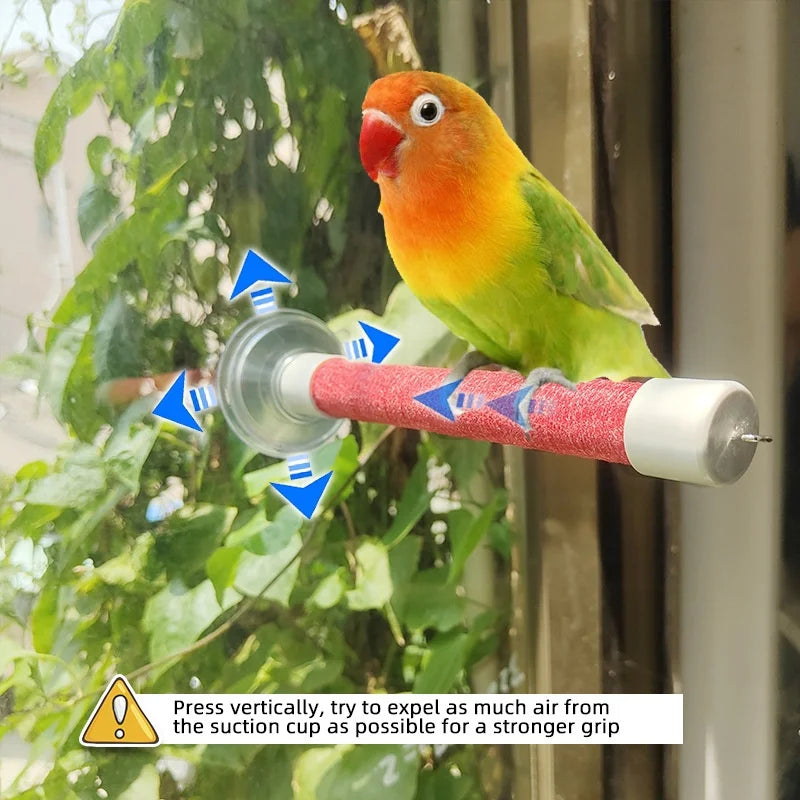 Suction Cup Window Perch for Birds | Bon Bon Bird Toys