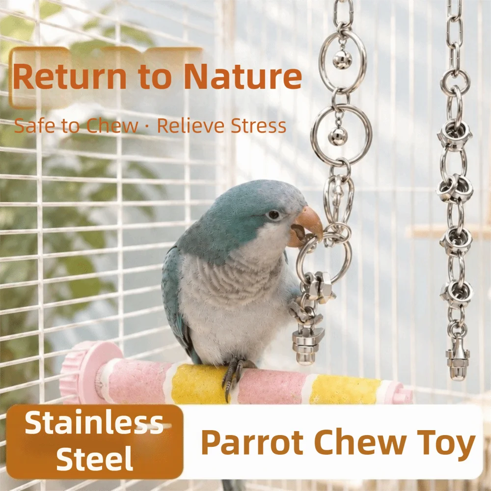 Stainless Steel Chain Toy for Birds | Bon Bon Bird Toys