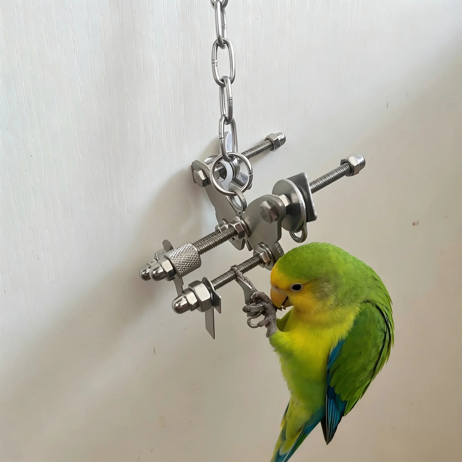 Stainless Steel Cross-Bar Parrot Puzzle Toy with Bell | Bon Bon Bird Toys