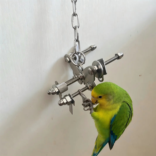 Stainless Steel Cross-Bar Parrot Puzzle Toy with Bell | Bon Bon Bird Toys