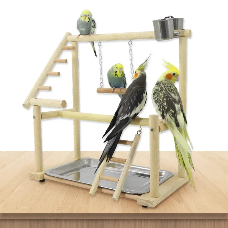Wooden Bird Play Gym with Ladder & Stainless Steel Cups | Bon Bon Bird Toys