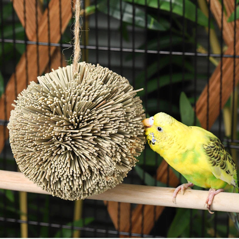 Hanging Natural Grass Ball Bird Chew Toy | Bon Bon Bird Toys