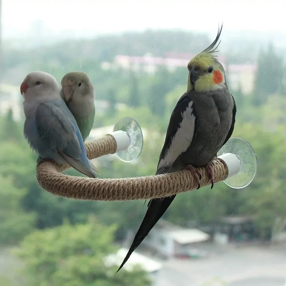 Bendable Twine Rope Perch with Suction Cups | Bon Bon Bird Toys