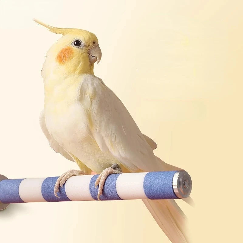 Sandstone Grinding Perch for Birds — Multiple Sizes | Bon Bon Bird Toys