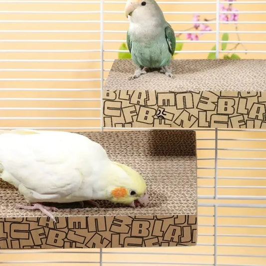 Two small birds perched on a cardboard platform inside a cage. 