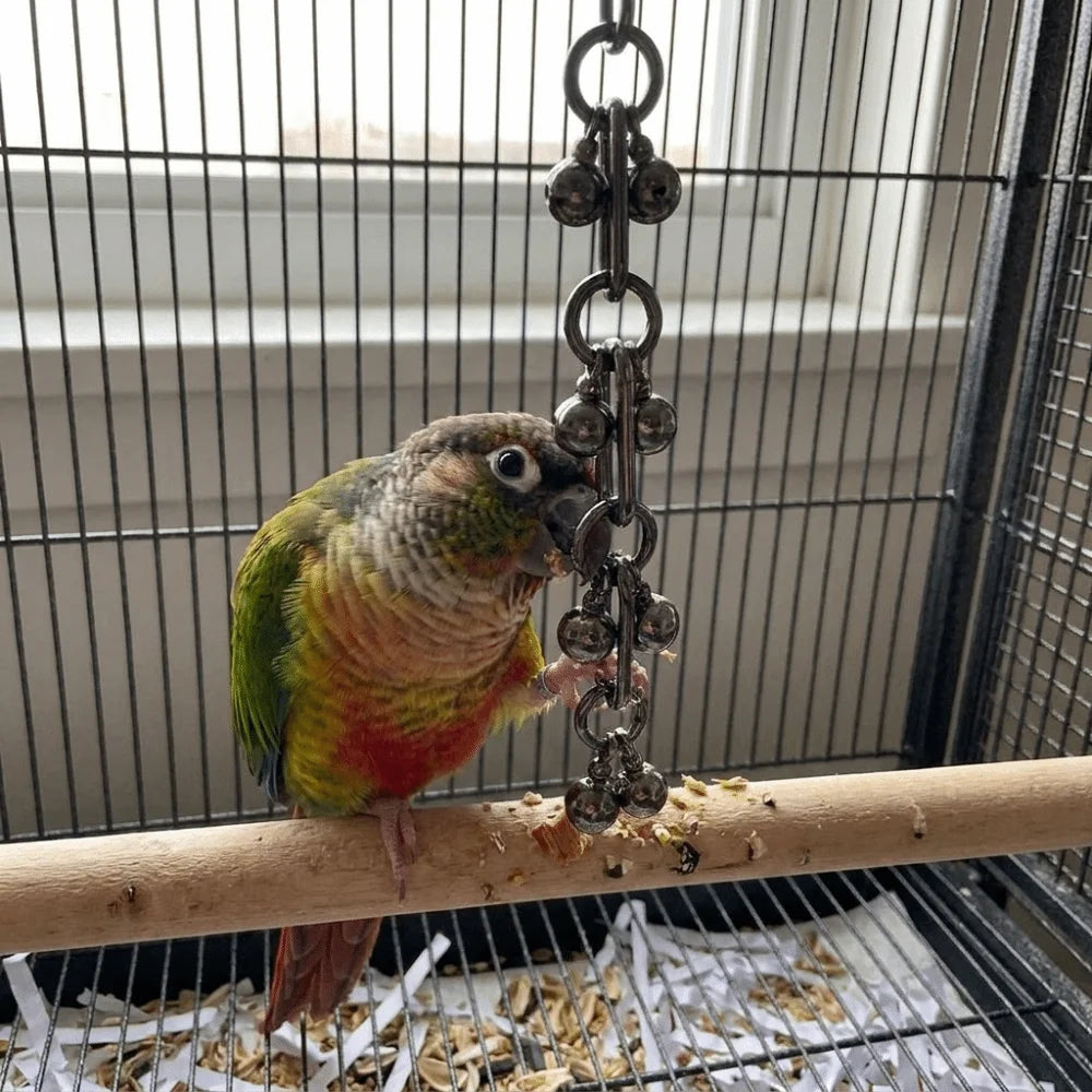 Stainless Steel Chain Toy for Birds | Bon Bon Bird Toys