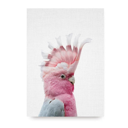 Parrot and Cockatoo Canvas Wall Art Print 