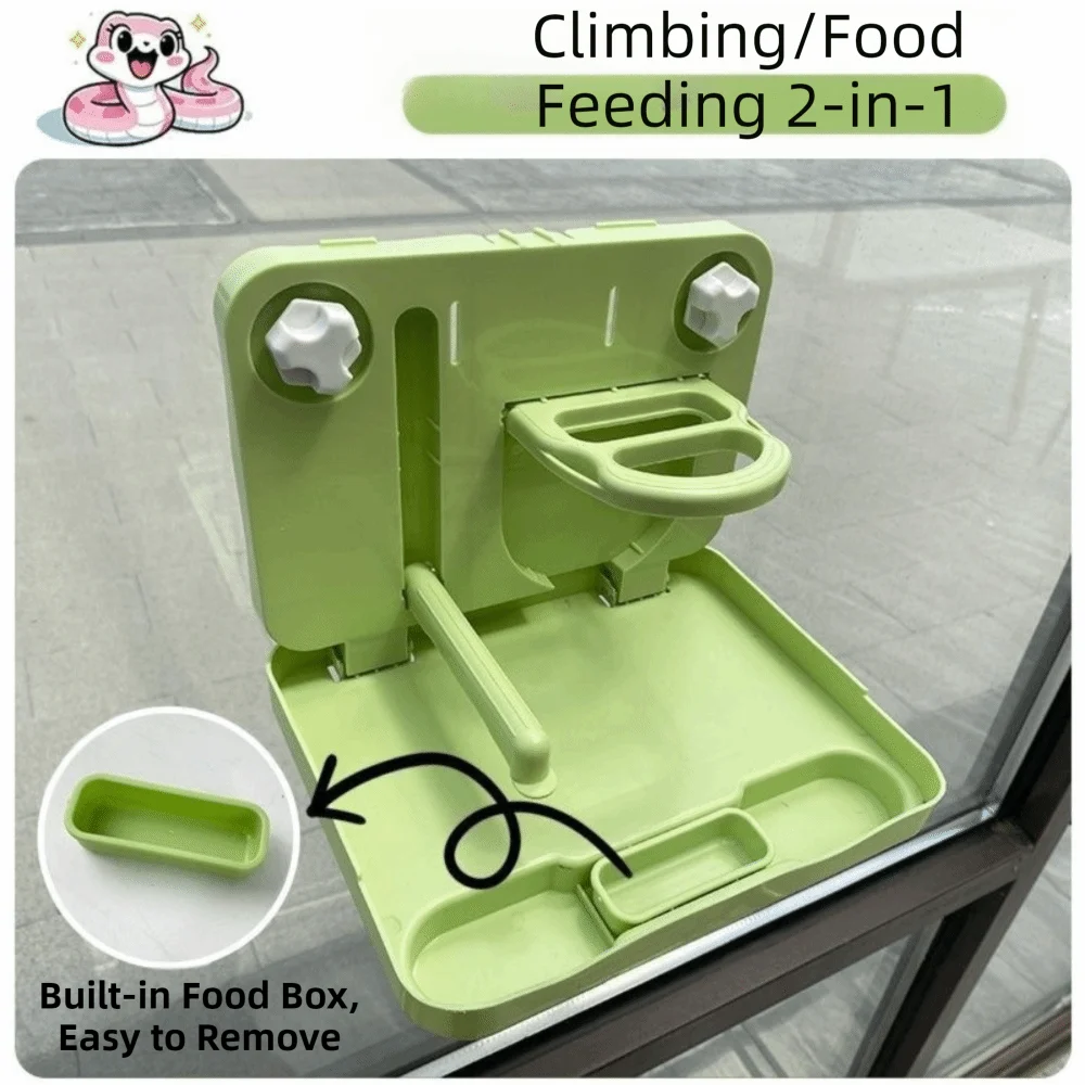 A light green 2-in-1 climbing and food feeding perch mounted on a glass window, with text reading 'Climbing/Food Feeding 2-in-1' and a circular inset showing a removable food box.