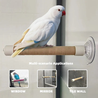 Suction Cup Window Perch for Birds | Bon Bon Bird Toys