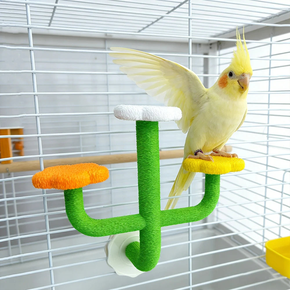 Cactus Bird Perch Stand with Flower Platforms | Bon Bon Bird Toys