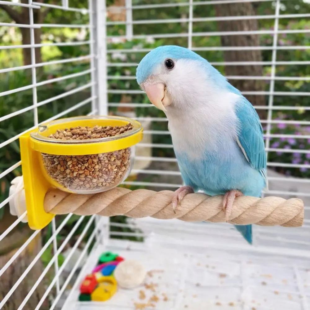 Cage-Mount Feeder Cup with Perch