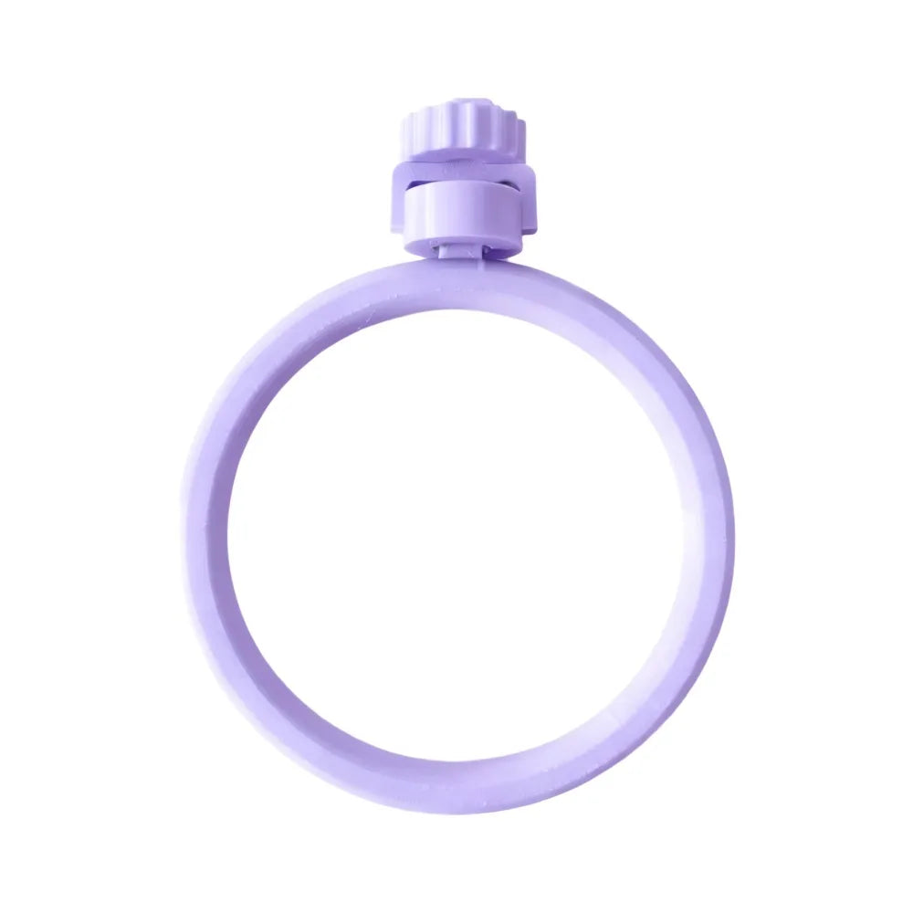 Spinning Ring Perch for Bird Cages | Bon Bon Bird Toys
