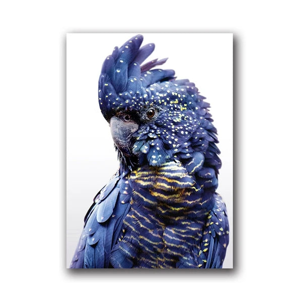 Parrot and Cockatoo Canvas Wall Art Print 