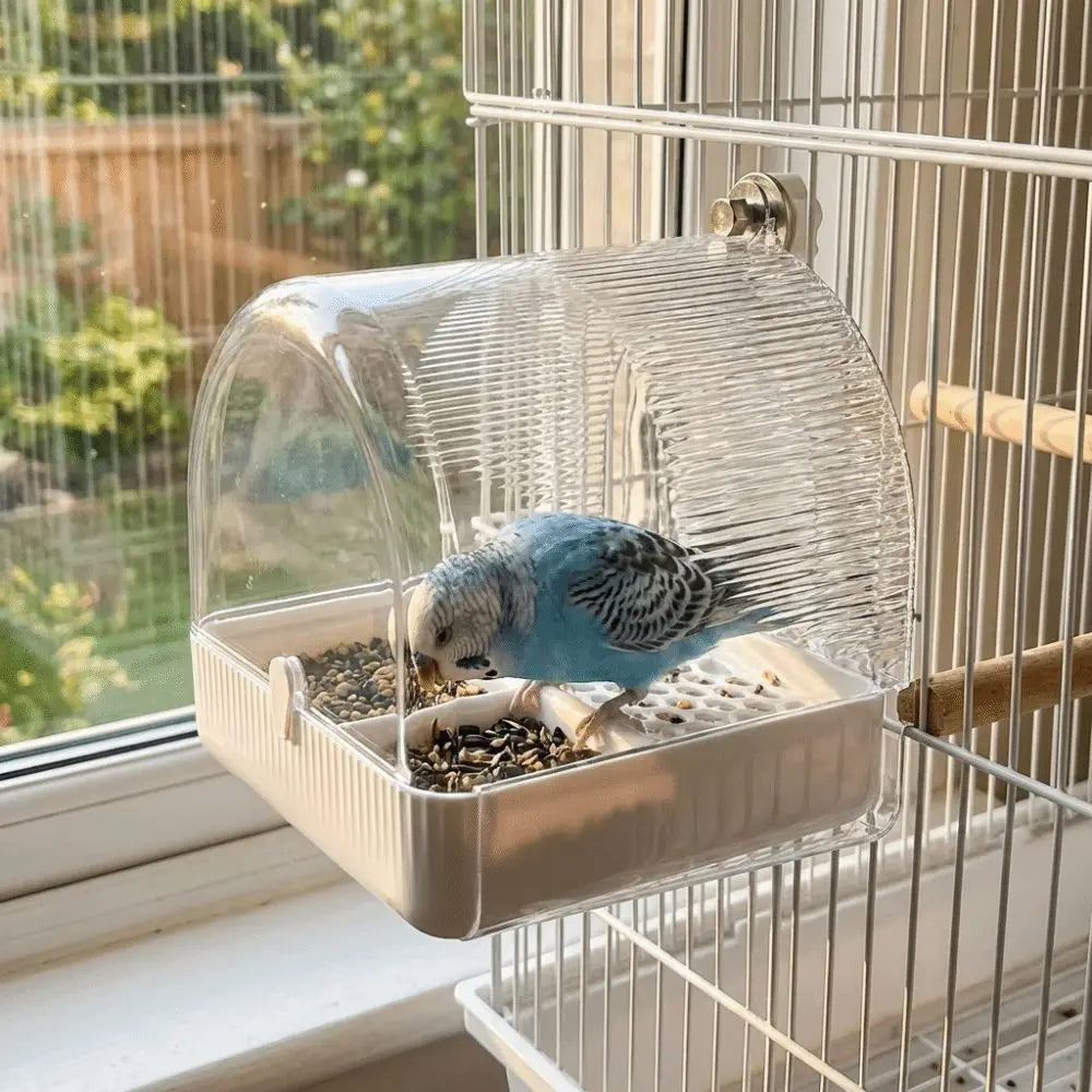 Transparent Bird Bath and Feeder with Dome Cover | Bon Bon Bird Toys