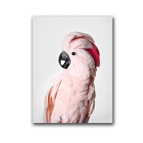 Parrot and Cockatoo Canvas Wall Art Print 