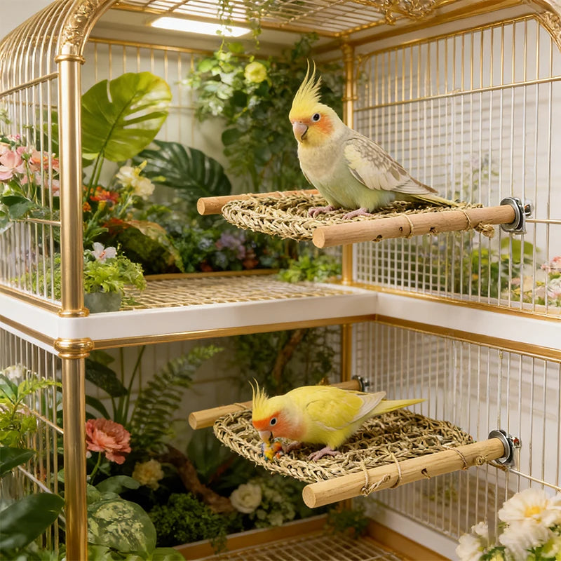 Woven Seagrass Platform Perch for Birds | Bon Bon Bird Toys
