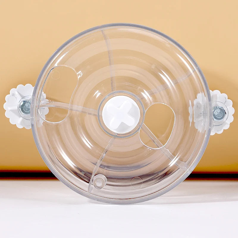Acrylic Foraging Wheel Toy for Birds | Bon Bon Bird Toys