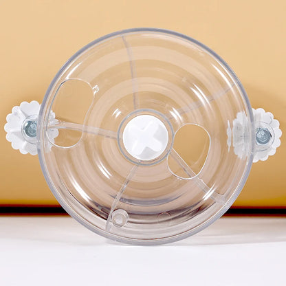 Acrylic Foraging Wheel Toy for Birds | Bon Bon Bird Toys