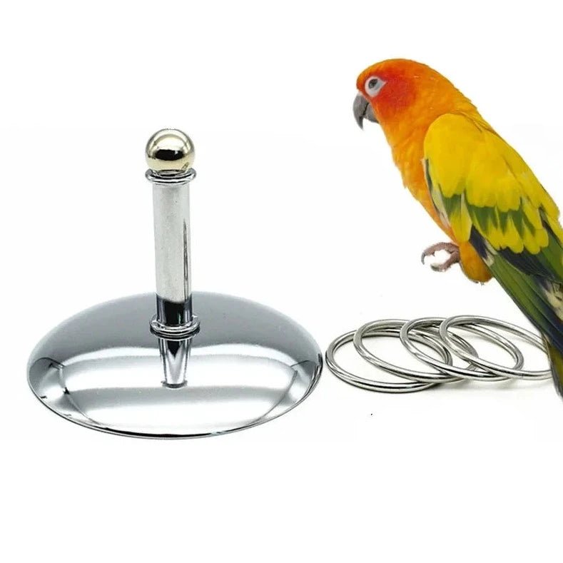 AviRing Stainless Steel Bird Ring Toss Game - Bon Bon Bird Toys