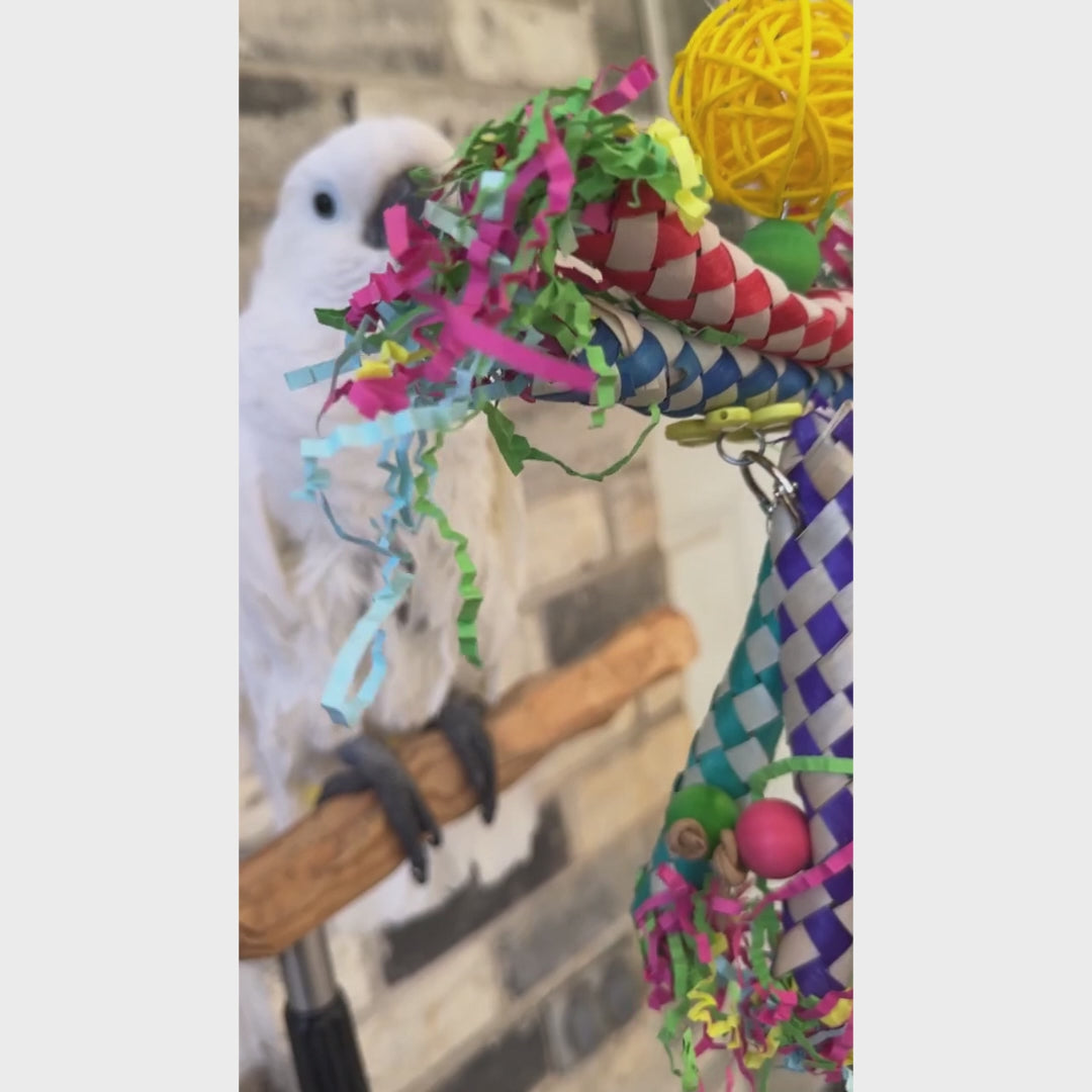 5 Piece Crinkle Paper Shredding Toy Set with Bon Bon the Cockatoo