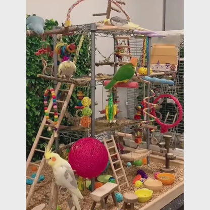 7-Piece Bird Toy Set for Small Parrots