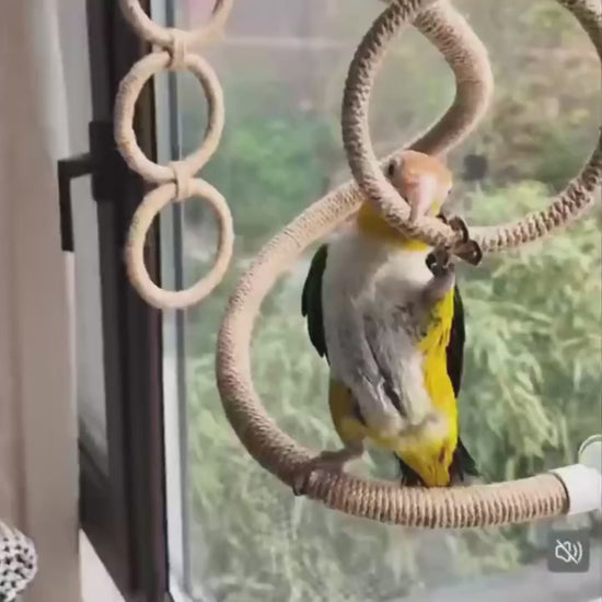 Bendable Twine Rope Perch with Suction Cups | Bon Bon Bird Toys