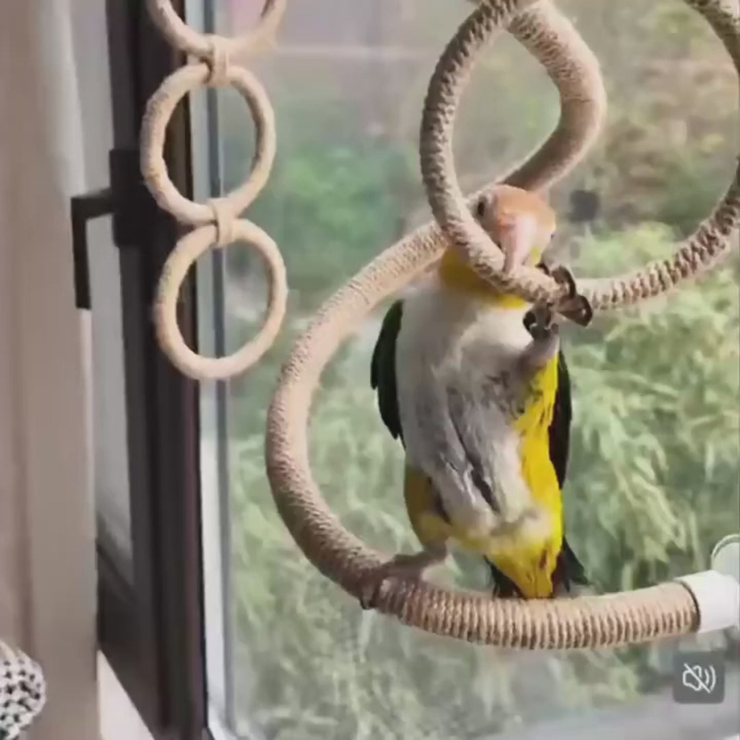 Bendable Twine Rope Perch with Suction Cups | Bon Bon Bird Toys
