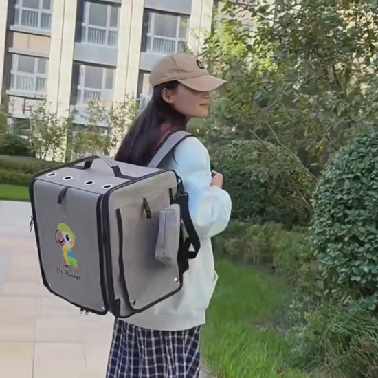 Bird Backpack Carrier with Window & Perch | Bon Bon Bird Toys