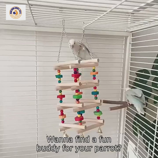 Colorful Wooden Climbing Ladder with Bells for Birds | Bon Bon Bird Toys