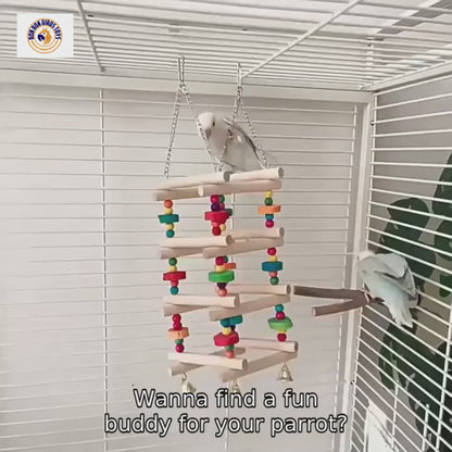 Colorful Wooden Climbing Ladder with Bells for Birds | Bon Bon Bird Toys