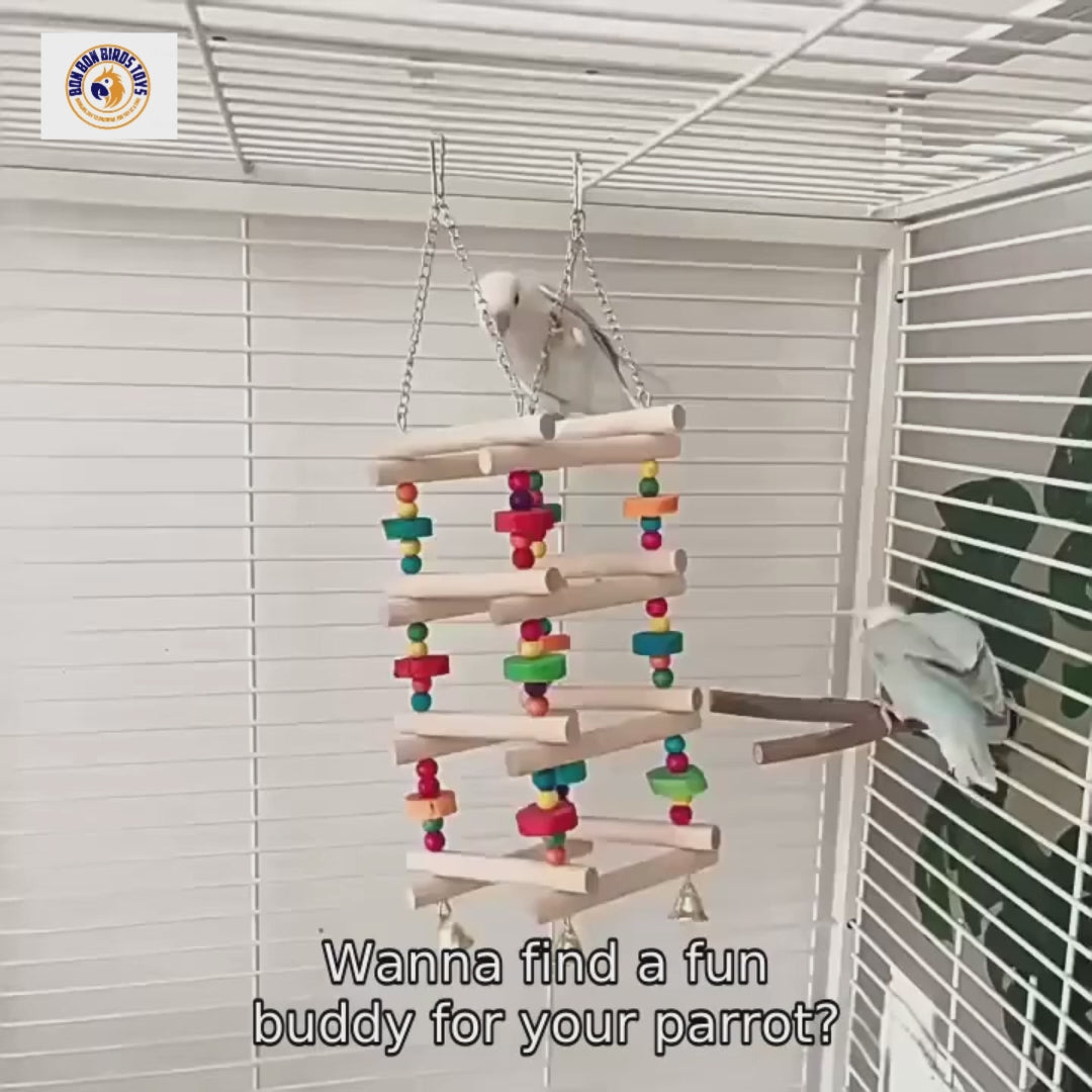 Colorful Wooden Climbing Ladder with Bells for Birds | Bon Bon Bird Toys