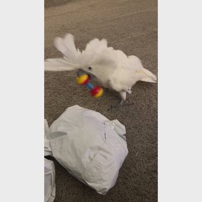 Plastic Rattle Toy for Birds | Bon Bon Bird Toys