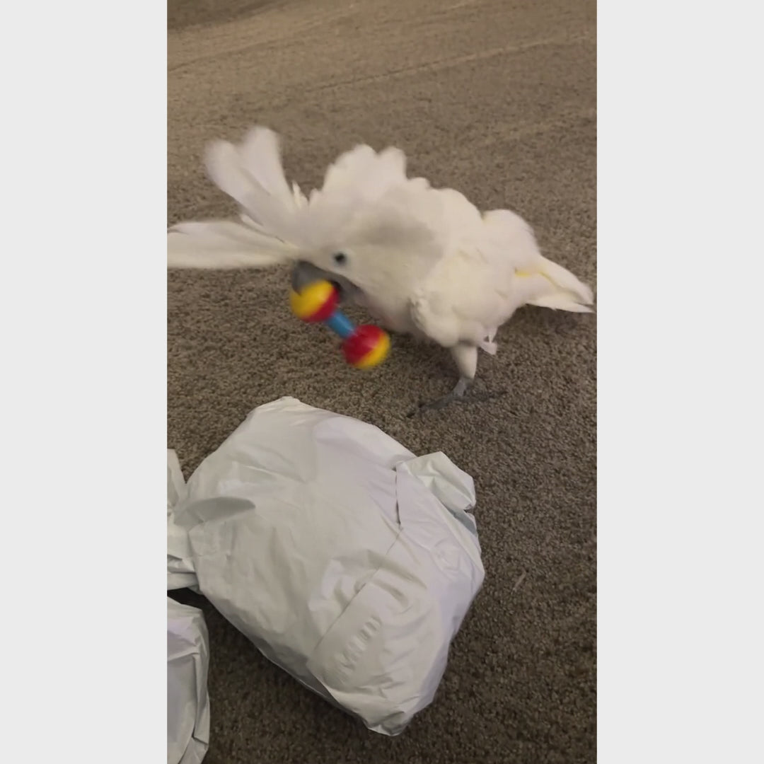 Plastic Rattle Toy for Birds | Bon Bon Bird Toys
