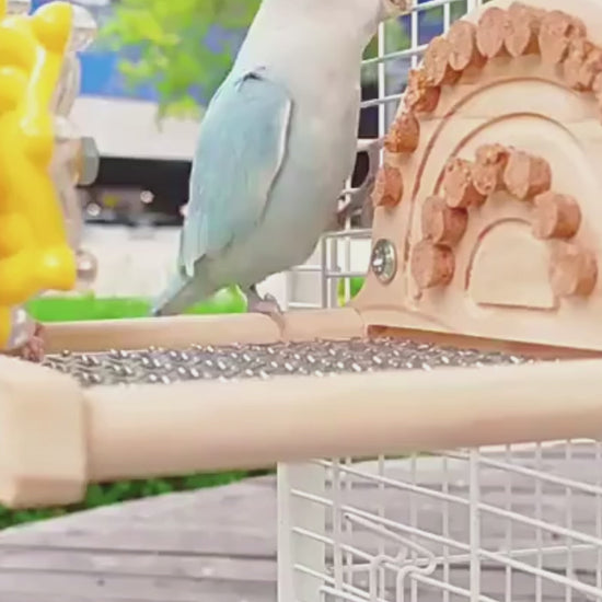 Wooden Platform Perch with Stainless Steel Mesh & Arch | Bon Bon Bird Toys