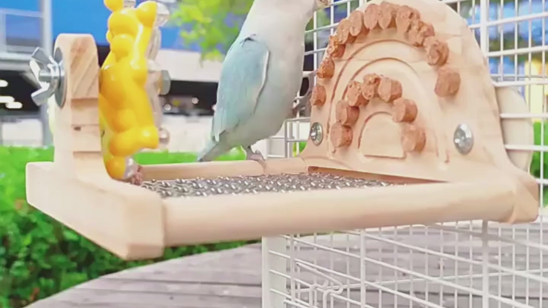 Wooden Platform Perch with Stainless Steel Mesh & Arch | Bon Bon Bird Toys