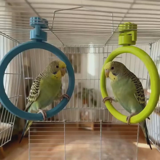 Spinning Ring Perch