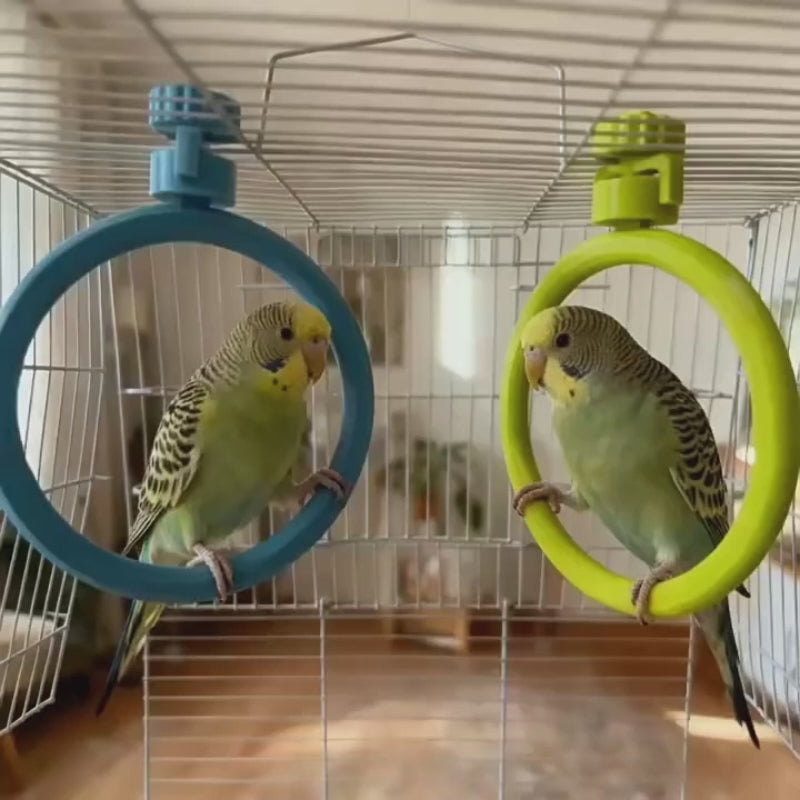 Spinning Ring Perch