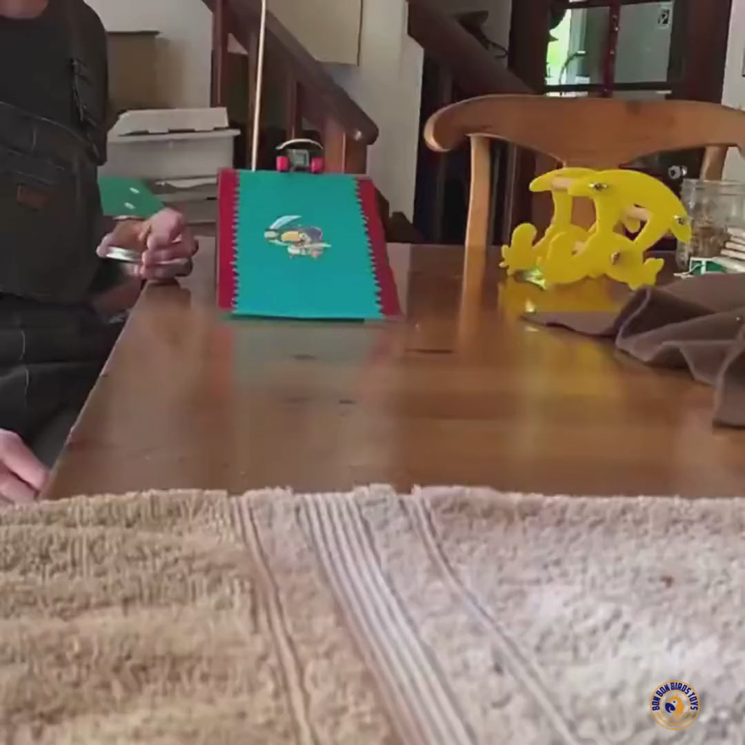 Mini Skateboard Training Toy for Birds | Bon Bon Bird Toys