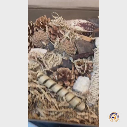 Natural Foraging Box