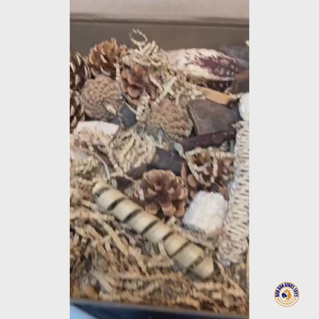 Natural Foraging Box