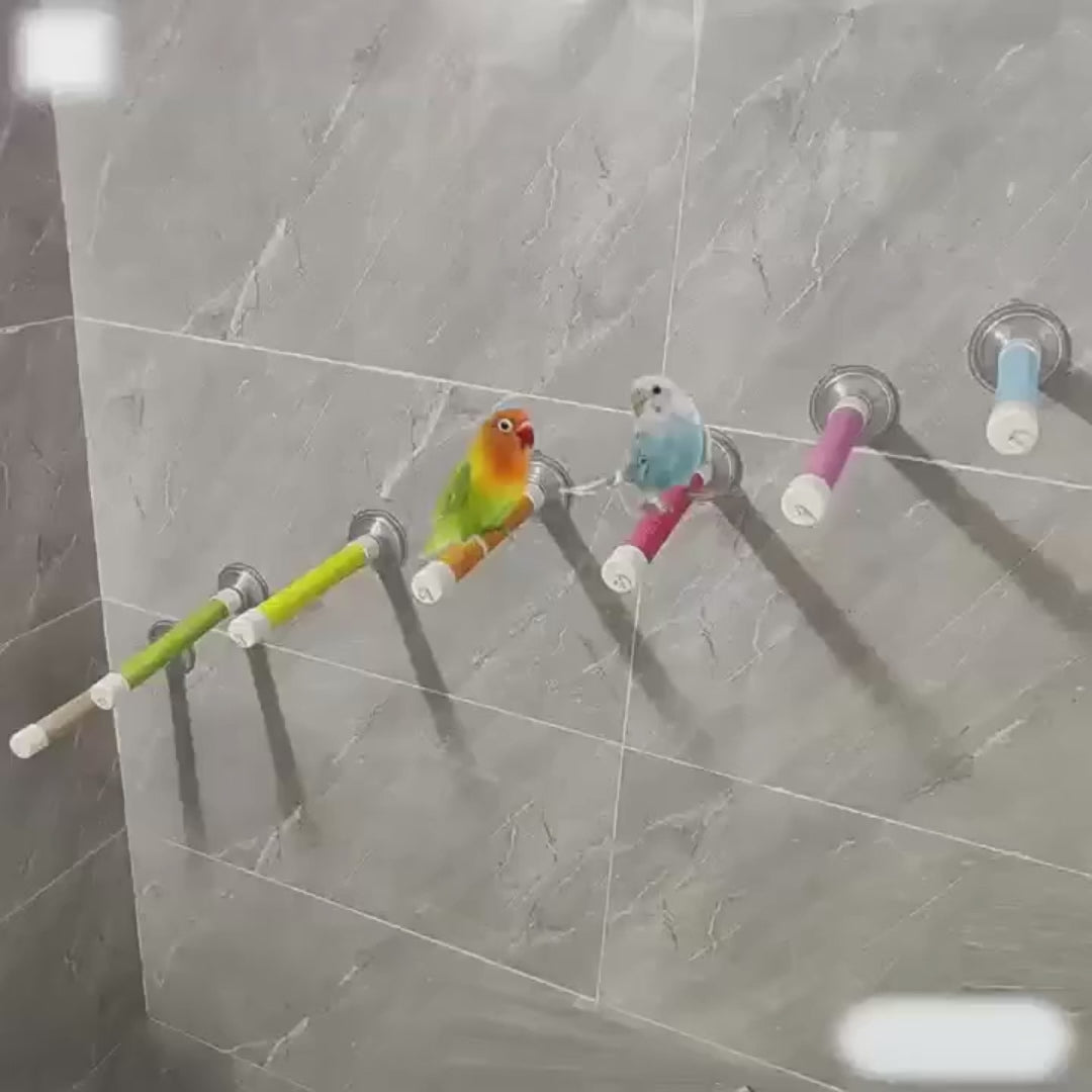 Suction Cup Window Perch for Birds | Bon Bon Bird Toys