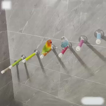 Suction Cup Window Perch for Birds | Bon Bon Bird Toys