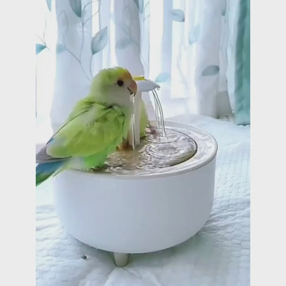 2-in-1 Auto-Circulating Parrot Bath & Water Fountain