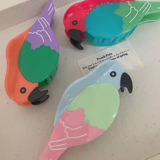 Colorful Macaw Hair Claw Clip